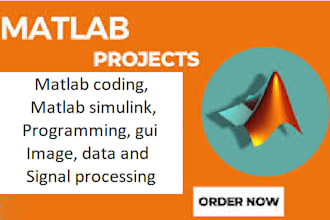 do matlab coding, simulink, programming, image, data and signal processing, gui