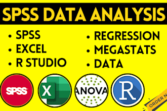 do statistical data analysis with spss, r, or excel