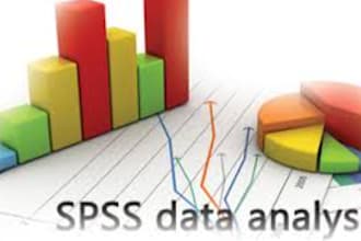do statistical data analysis in spss, excel