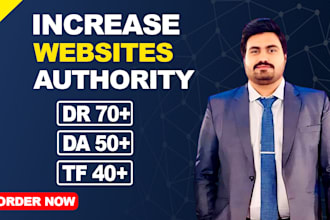 increase domain rating and trust flow dr ur tf with authority seo backlinks