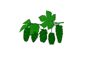 do modern brewery logo design unique and craft beer branding