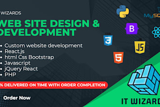 do professional website design and development