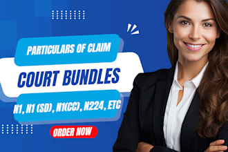 draft UK court bundle, claim form, particulars of claims, defence, reply
