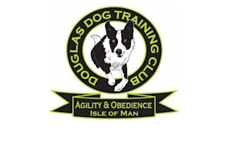 design high quality dog training logo for your business with 24 hours