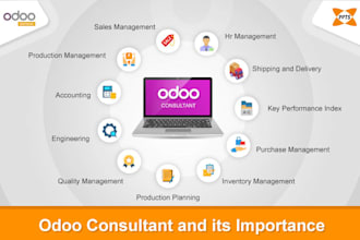 configure odoo, customize modules, develop websites, offer functional consulting