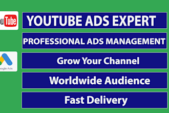 create and manage youtube ads campaign for channel growth