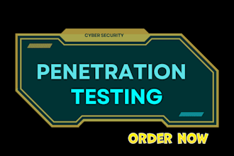 do advanced penetration testing on websites to find vulnerabilities