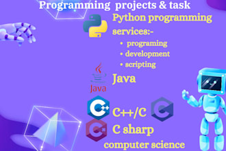write and debug custom java and cpp code for you