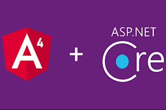 implement net angular work in the best price