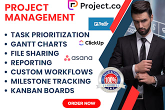 setup project management  motion coda height rodeo backlog smart task project co