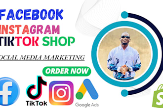 set up tiktok shop facebook shop instagram shop USA tiktok dropshipping store