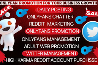 onlyfans page promotion onlyfans traffic chatter management fanvue twitter ads