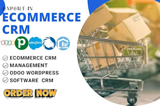 setup ecommerce cms accounting software odoo database erp data entry mvp crm