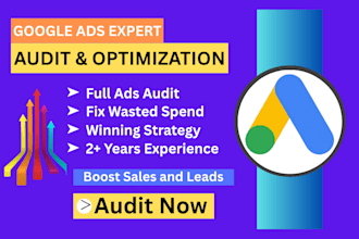 do profitable google ads audit and optimization for ecommerce with improve ROI