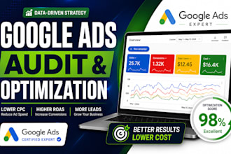 audit and optimize google ads with reporting for revenue growth