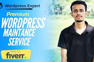 provide wordpress maintenance, updates, security and support