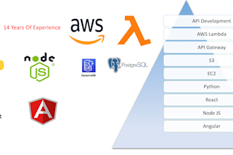 develop AWS lambda and API solutions