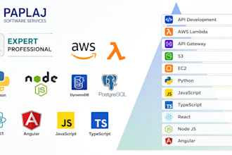 develop AWS lambda and API integration solutions