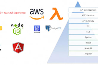 develop AWS lambda and API integration solutions