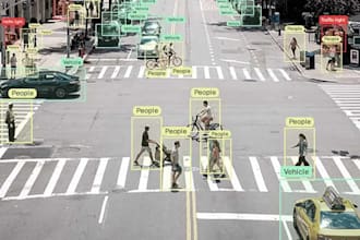 do professional image and video annotation services for ai and  machine learning