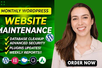 do website maintenance website update wordpress support website security bug fix