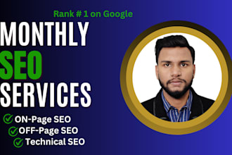 provide monthly SEO services for fast ranking on google