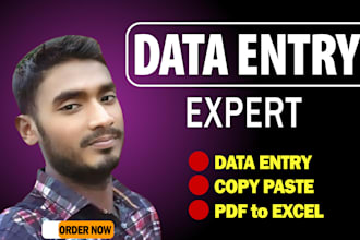 do data entry  form web research web scrapings copy past  pdf excel pdf world