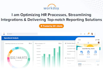 be your workday integration and reporting specialist