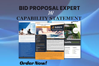 design and write federal government capability statement for government contract