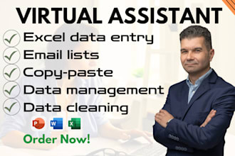 do fast and accurate excel data entry and virtual assistant