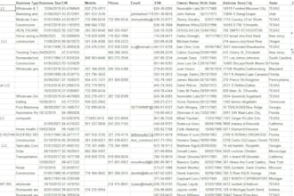 provide targeted mca leads with full packages or excel only lists