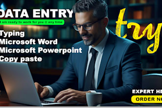 do data entry work, PDF to word or excel, copy paste