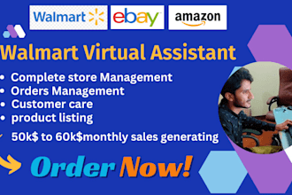 your walmart virtual assistant, walmart dropshipping, wfs