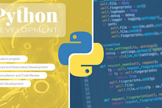 do custom python project