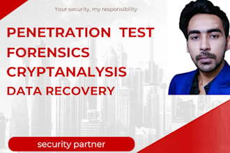 provide digital forensics, cryptanalysis data recovery