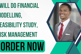 do financial modelling, feasibility study, risk management