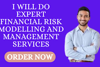 do expert financial risk modelling and management services