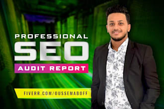 provide a professional SEO audit report