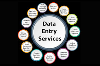 do VA for internet research, data collection, processing and entry