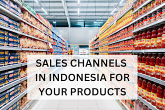 find reliable distributors and sales channels in indonesia for your products
