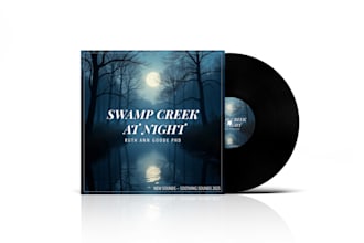 design a unique album cover and cd cover art for spotify and music platforms