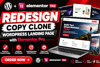 redesign and copy clone wordpress landing page with elementor pro