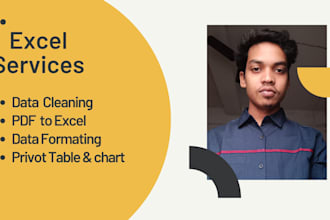 clean ms excel data