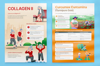 create modern professional infographic, resume, illustration