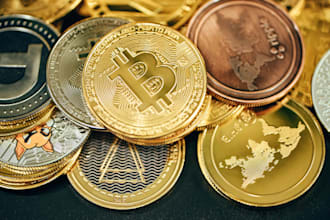 investigate cryptocurrency wallets and transactions