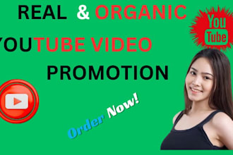 do shoutout youtube video, channel promotion to 731k organic subscribers