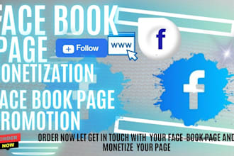 do facebook page monetization, page promotion, ads setup, management with bonus