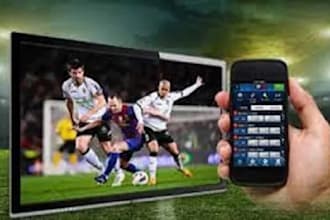 sport bet website,gamble site, crypto bet website,slot,crash game,bet app