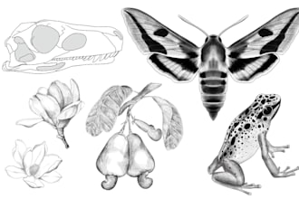 make an incredible black and white digital illustration