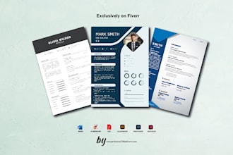 make professional CV and resume design executive and federal resume linkedin